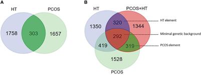 Exome sequencing to explore the possibility of predicting genetic susceptibility to the joint occurrence of polycystic ovary syndrome and Hashimoto’s thyroiditis